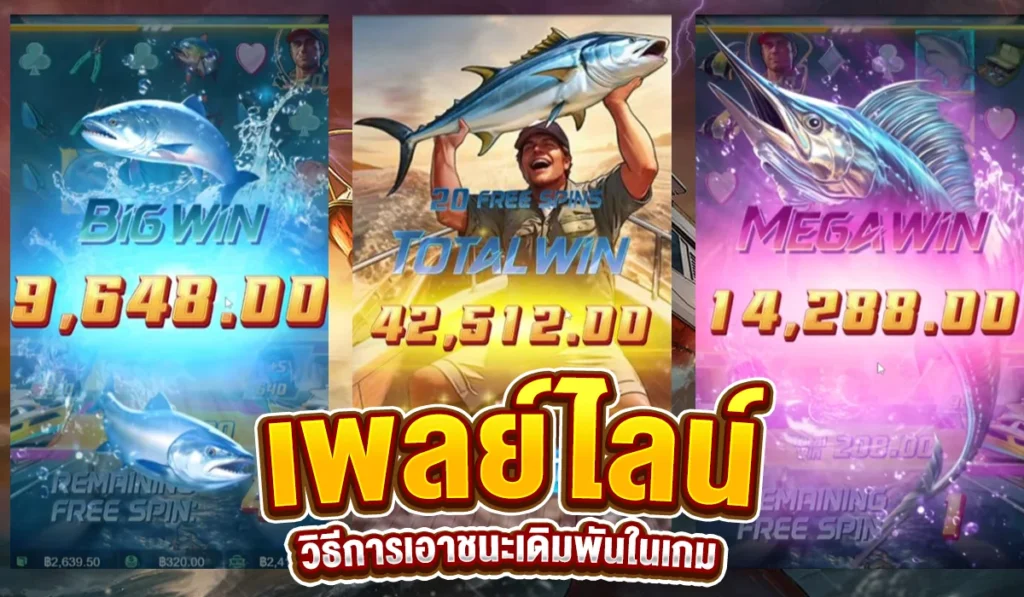 เพลย์ไลน์วิธีการเอาชนะเดิมพันในเกม