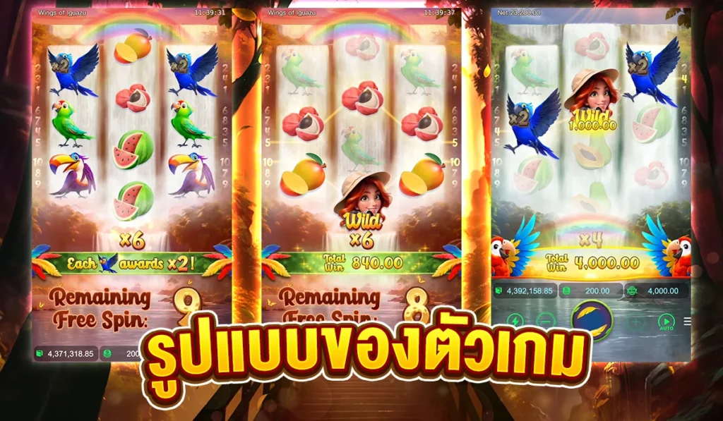 ข้อมูลรูปแบบของตัวเกม Wings of lguazu